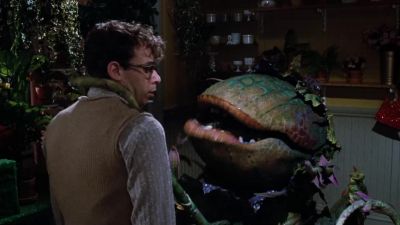 Come on Seymour don't be a putz - Little Shop of Horrors