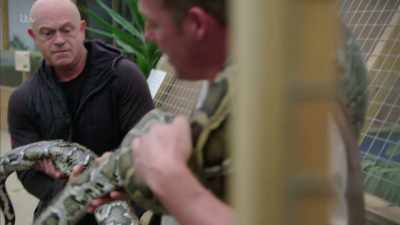 Come on. So you can see, - Britain's Tiger Kings - On the Trail with Ross Kemp