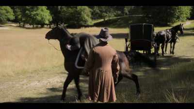 Come on. Stop! Wait! - Ehrengard: The Art of Seduction