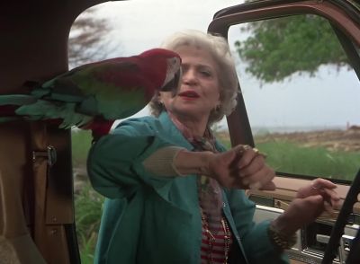 Come on. There's a good boy. - Magnum, P.I.
