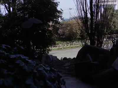 Come on, Tom. - The Streets of San Francisco