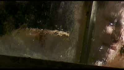 Come on up! - 28 Days Later