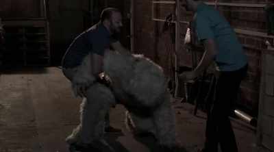 Come on, we'll make
him nice and new. - Another Yeti a Love Story: Life on the Streets
