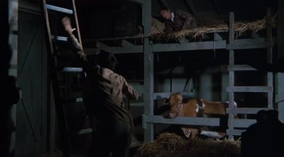 Come on, Yancy, come on down. - The Waltons