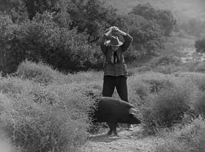 Come on, you're
going with me to
the celebration. - The Kid Brother