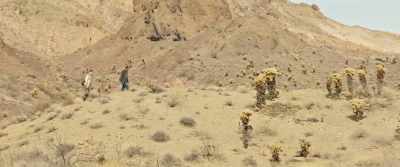 "Come ride with me
for a couple days. It'll be fun. - Mojave Diamonds