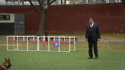 Come! - Blue Bloods