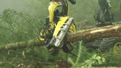 ♪ Come and see
some fallen trees ♪ - Tractor Ted