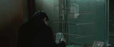 Come to think of it
The bird that was raised died. - The Third Murder