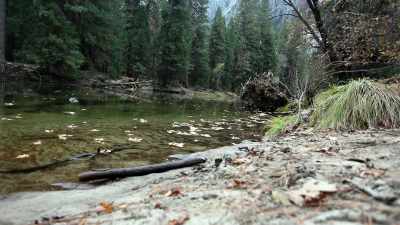 Coming back every spring and
every fall for months at a time. - The Dawn Wall