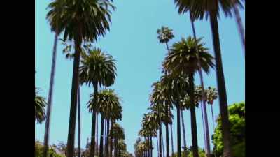 Coming to LA for us was like - Milli Vanilli