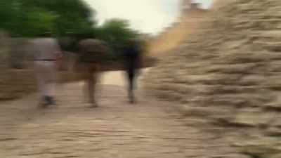 COMING UP,
CARL AND HAMILTON, - Lost Relics of the Knights Templar