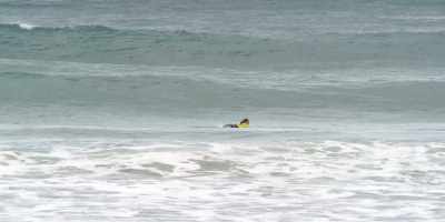 [Commentator] Shorehaven
up-and-comer, Marlon Sousa, - Surviving Summer