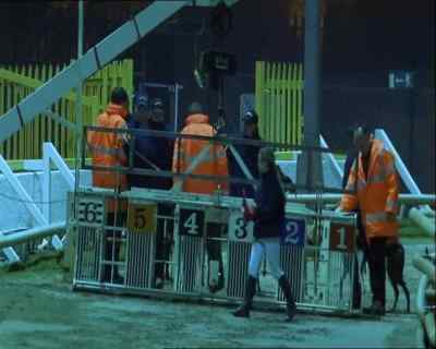 COMMENTATOR: They're loading up
for the first race this evening. - A Touch of Frost