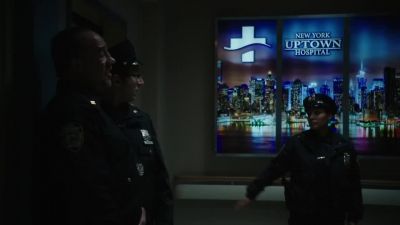 Commissioner. - Blue Bloods