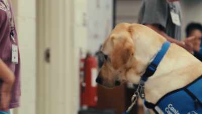 Communication is
extraordinarily important. - Inside the Mind of a Dog