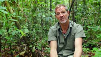 Community and plantation workers
shoot the orangutans initially, - Why on Earth