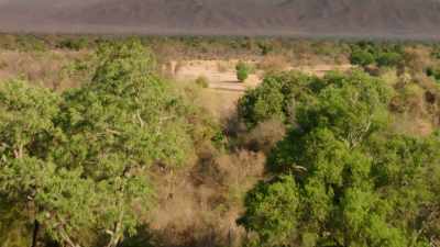Compared to her home territory,
there is not only more danger, - Dynasties