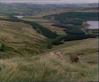 COMPO YAWNS - Last of the Summer Wine