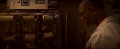 Compounds 1, 3, 4, 6, 8, 9, 10... - I Am Legend