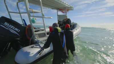 Computers and salt water
don't usually mix well. - Attenborough's Life in Colour