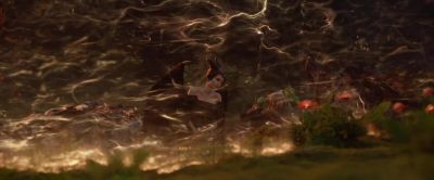 Conall wanted peace... - Maleficent: Mistress of Evil