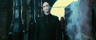 Concentrate, Potter. - Harry Potter and the Order of the Phoenix