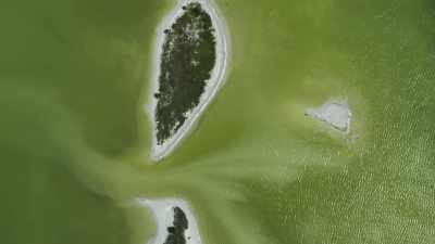 Concentrated by the tropical sunshine, - Planet Earth III