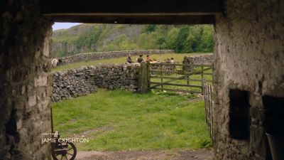 Confirm cow number 85. - All Creatures Great & Small