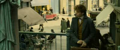 Confundus. - Fantastic Beasts: The Crimes of Grindelwald
