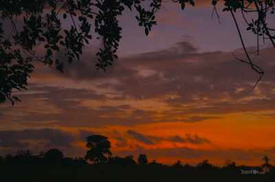 Consciousness is a living,
breathing compendium, - Thrive II: This Is What It Takes