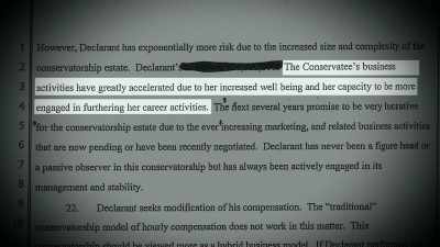 "Conservatee's
business activities - Framing Britney Spears