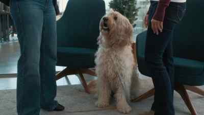 Consider it the Christmas spirit
getting you back into the world. - Happy Howlidays