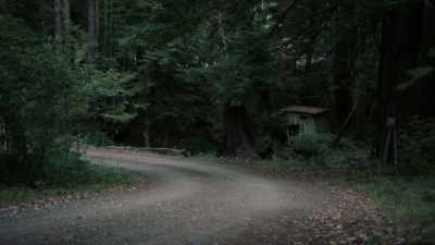 (CONTEMPLATIVE MUSIC PLAYING) - Captive Audience: A Real American Horror Story