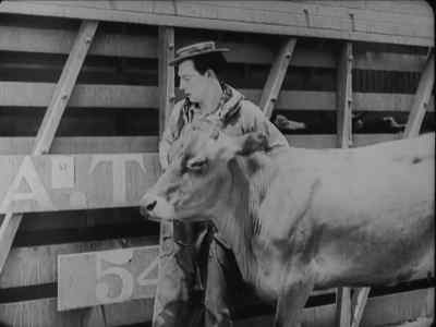 Contents : CATTLE
Destination : Union Stock Yards, -  - Go West