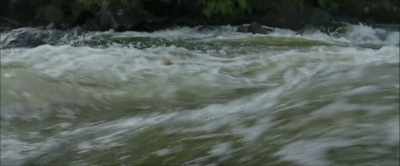 [CONTINUES BARKING] - Chaos Walking
