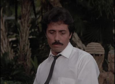 ####[ Continues ] - Miami Vice
