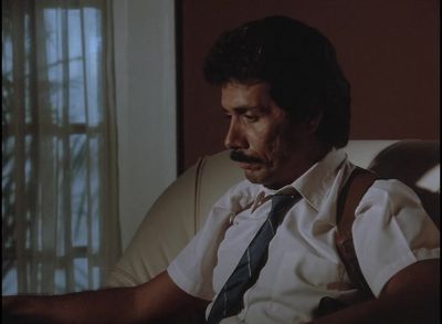 ####[ Continues ] - Miami Vice