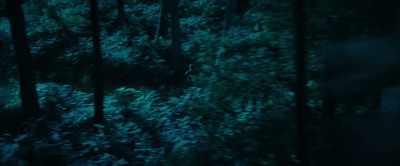 (continues screeching) - The Animal Kingdom