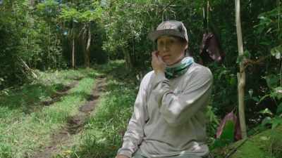 Controlling these invasive
plants is a relentless job, - The Green Planet
