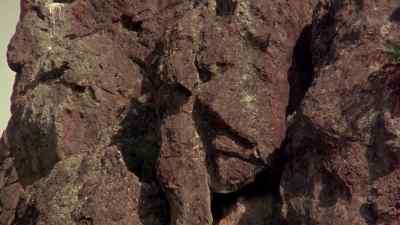 Cooee! - Picnic at Hanging Rock