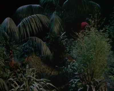 Cookie-- we can feed it
to the monkey. - Land of the Giants