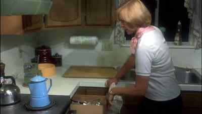 Cooking utensils? Right. - Alice Doesn't Live Here Anymore