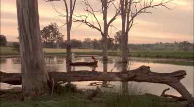 Cool breeze ripples at the river below - My Brilliant Career