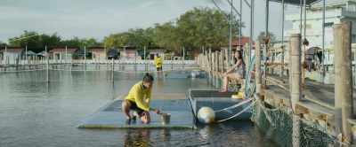 Cool, you can train dolphins. - Where We Belong