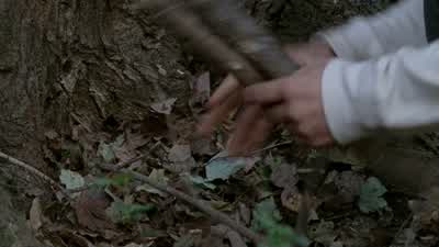 Cool. You're afraid of me, too. - The Walking Dead