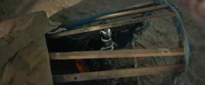 - [coos]
- DinDim? - My Penguin Friend