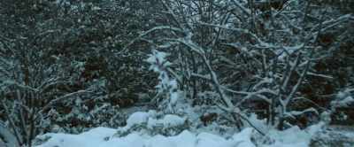 Copy that, dispatch, - The Nights Before Christmas