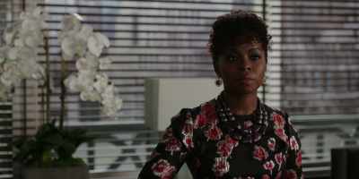 Copyright material may be quoted
verbatim for purposes such as criticism. - The Good Fight