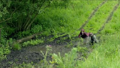 CORA:
What if she's overturned? - Downton Abbey